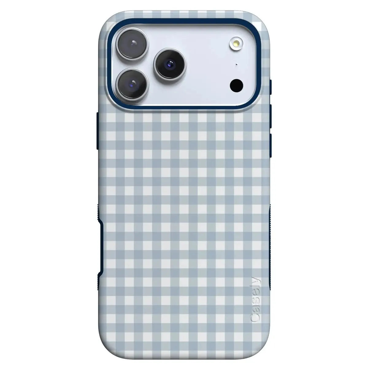 Pastel Picnic | Blue Gingham Case